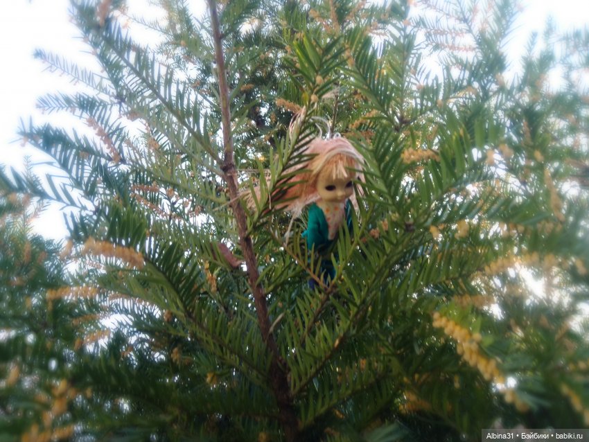 Краснодар. Март 2025 год (продолжение) (фото 4)