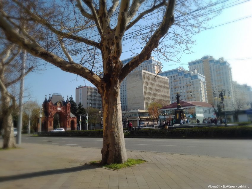 Краснодар. Март 2025 год (продолжение)