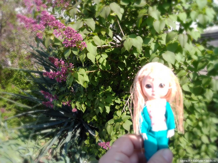 Краснодар. Март 2025 год (продолжение)