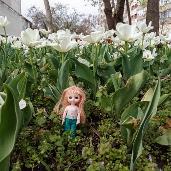 Краснодар. Март  2025 год  (продолжение)