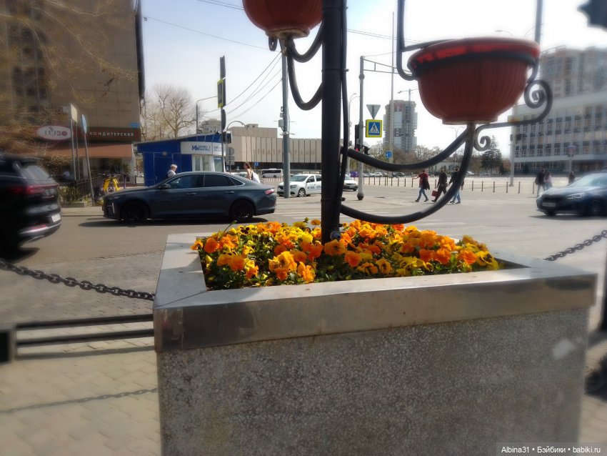 Краснодар. Март 2025 год (продолжение)