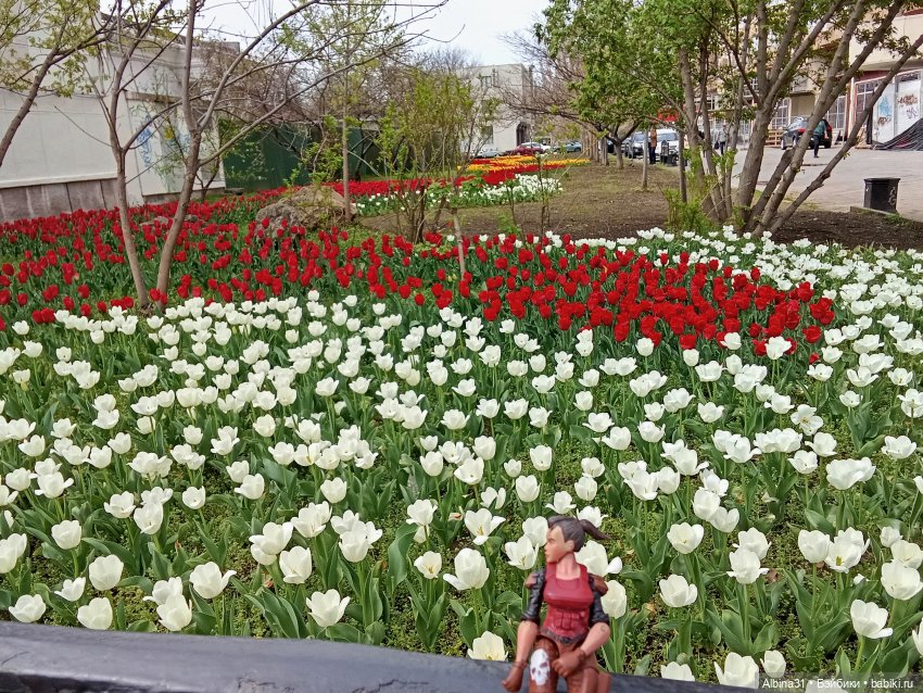 Краснодар. Март 2025 год (продолжение)