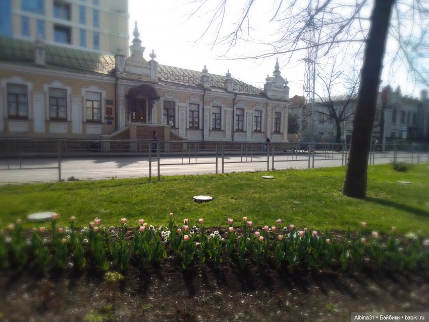 Краснодар. Март 2025 год (продолжение)