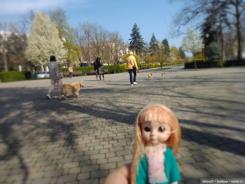 Краснодар. Март 2025 год (продолжение)