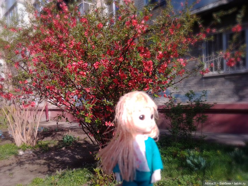 Краснодар. Март 2025 год (продолжение)