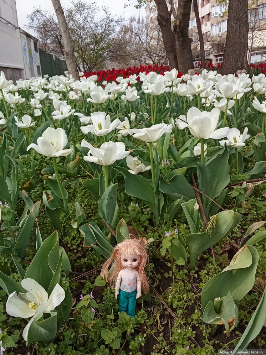 Краснодар. Март 2025 год (продолжение)