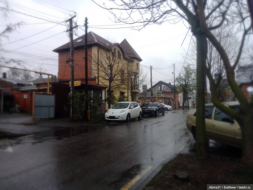 Краснодар в дождливый день. Март 2025 (фото 5)