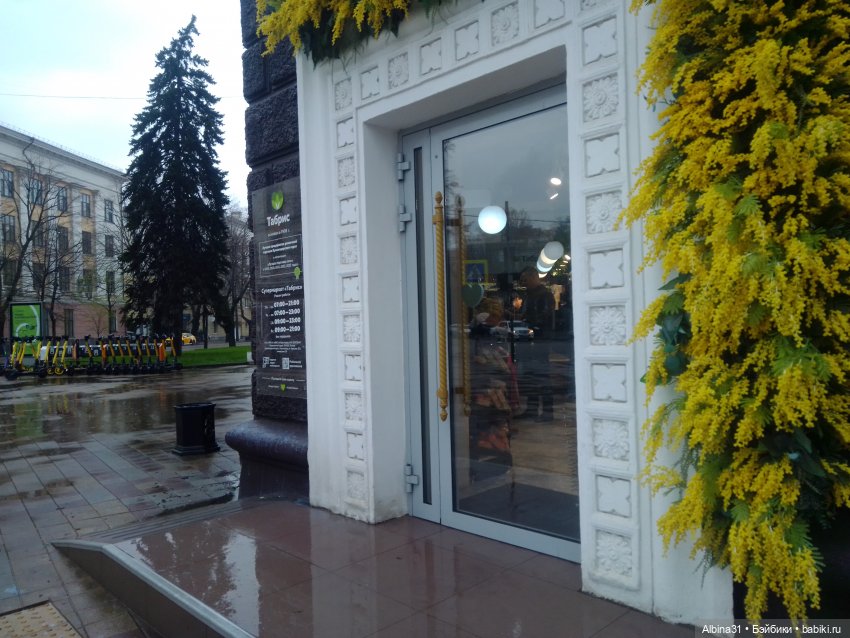 Краснодар в дождливый день. Март 2025