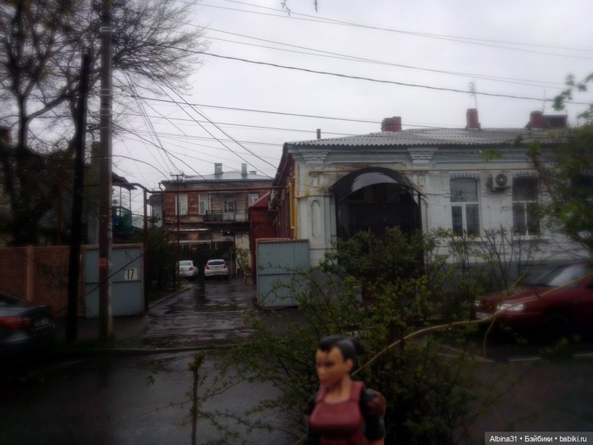Краснодар в дождливый день. Март 2025 (фото 4)