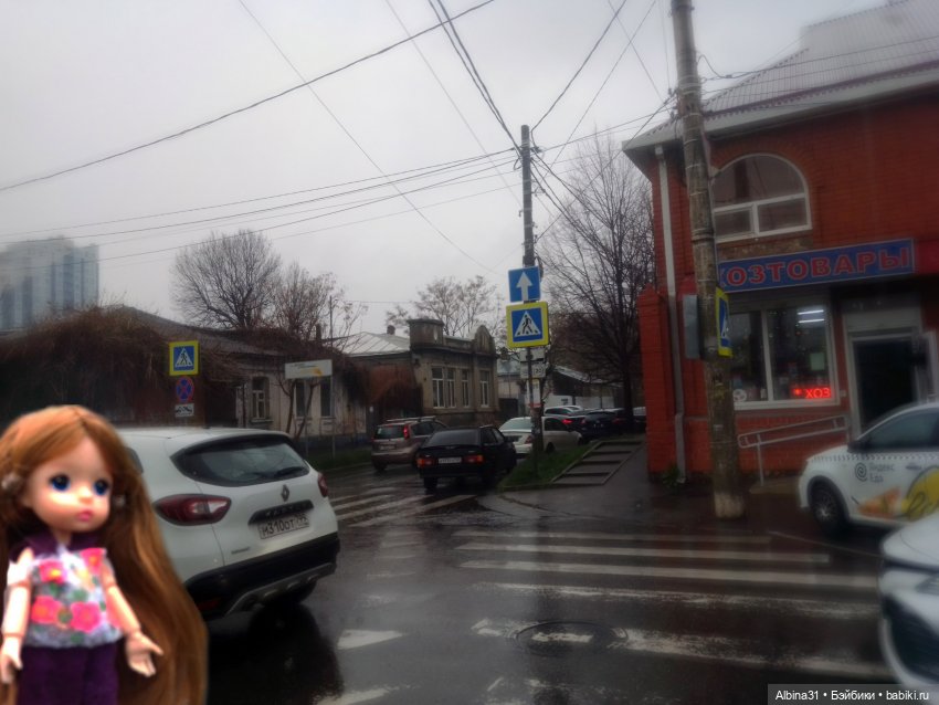 Краснодар в дождливый день. Март 2025 (фото 2)