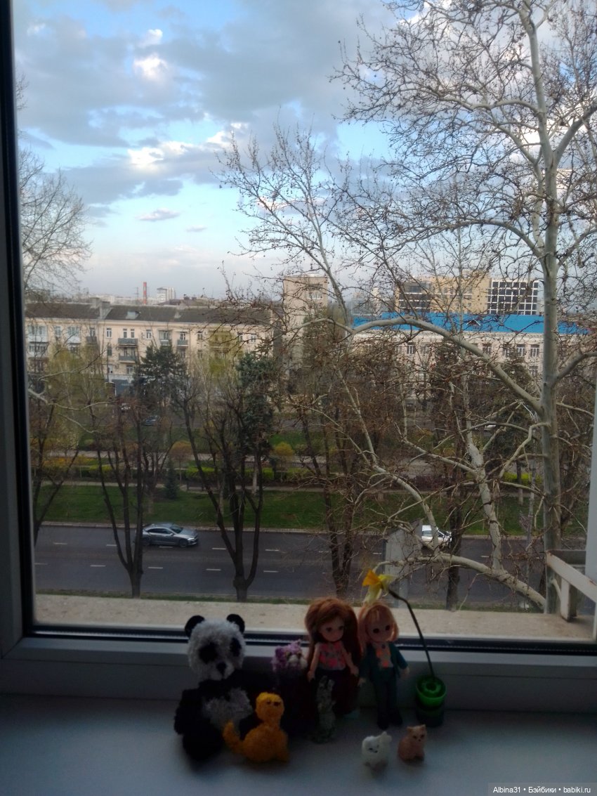 Краснодар март- апрель 2025 года