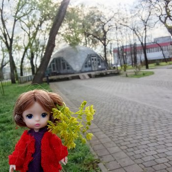 Краснодар март- апрель 2025 года