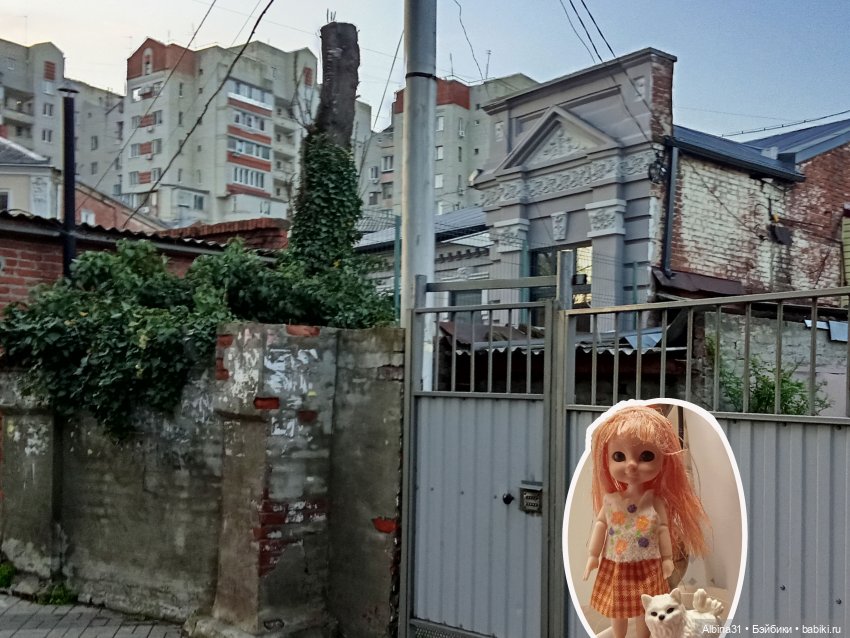 Краснодар март- апрель 2025 года