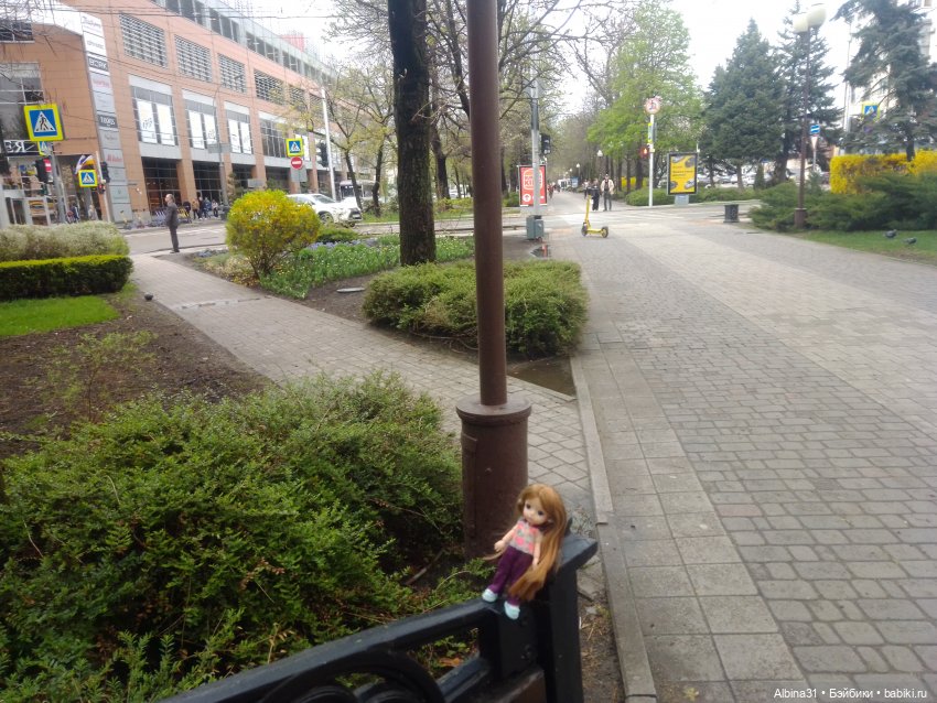 Краснодар март- апрель 2025 года