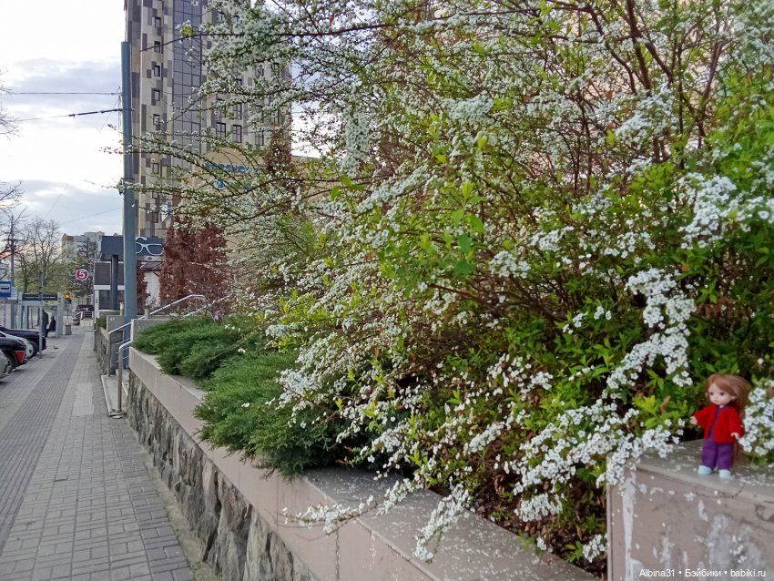 Краснодар март- апрель 2025 года