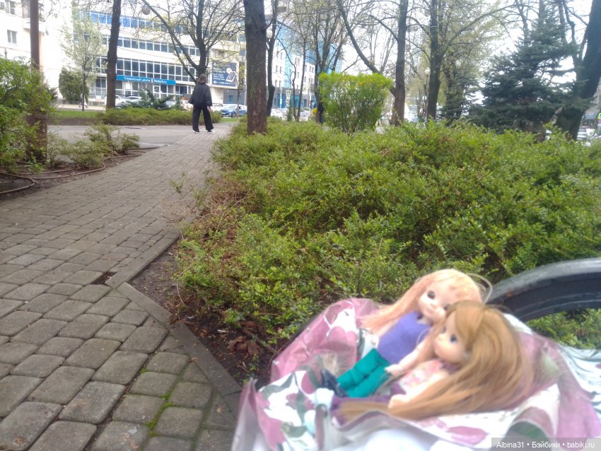 Краснодар март- апрель 2025 года