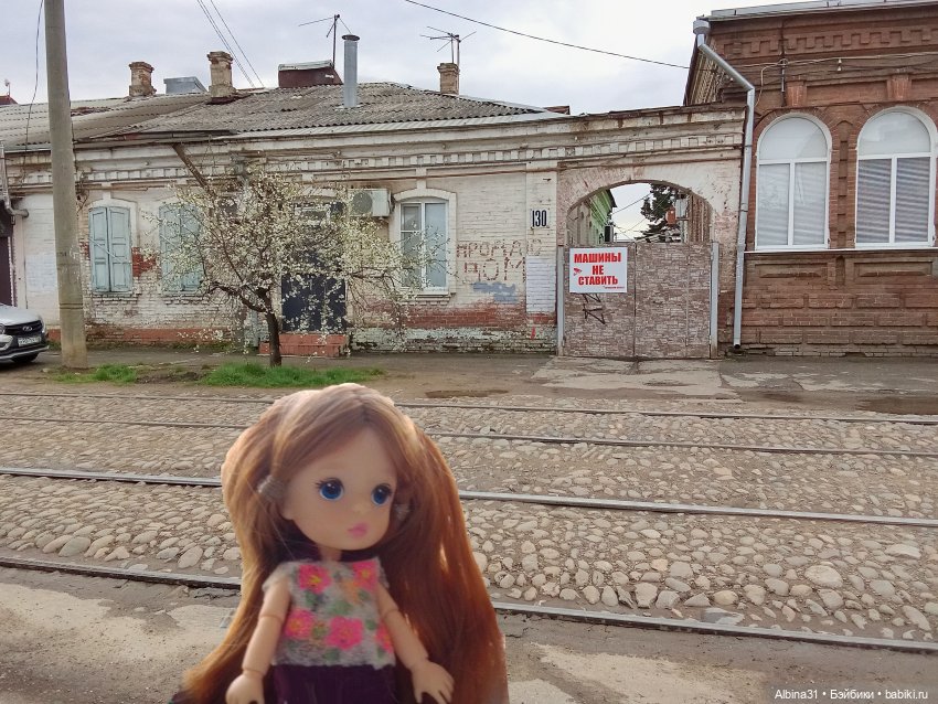 Краснодар март- апрель 2025 года