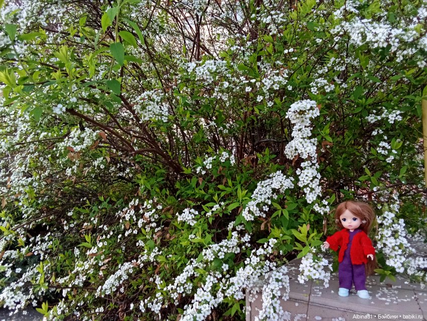 Краснодар март- апрель 2025 года