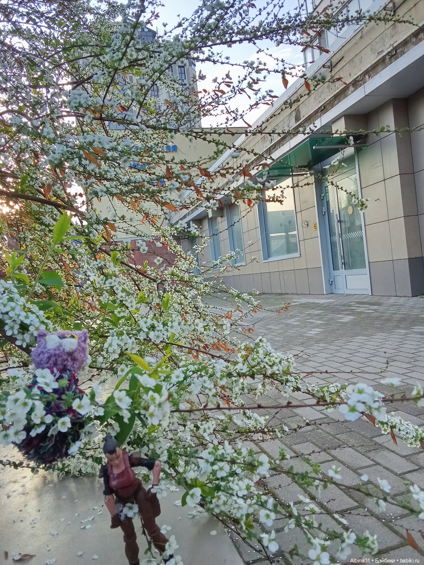 Краснодар март- апрель 2025 года