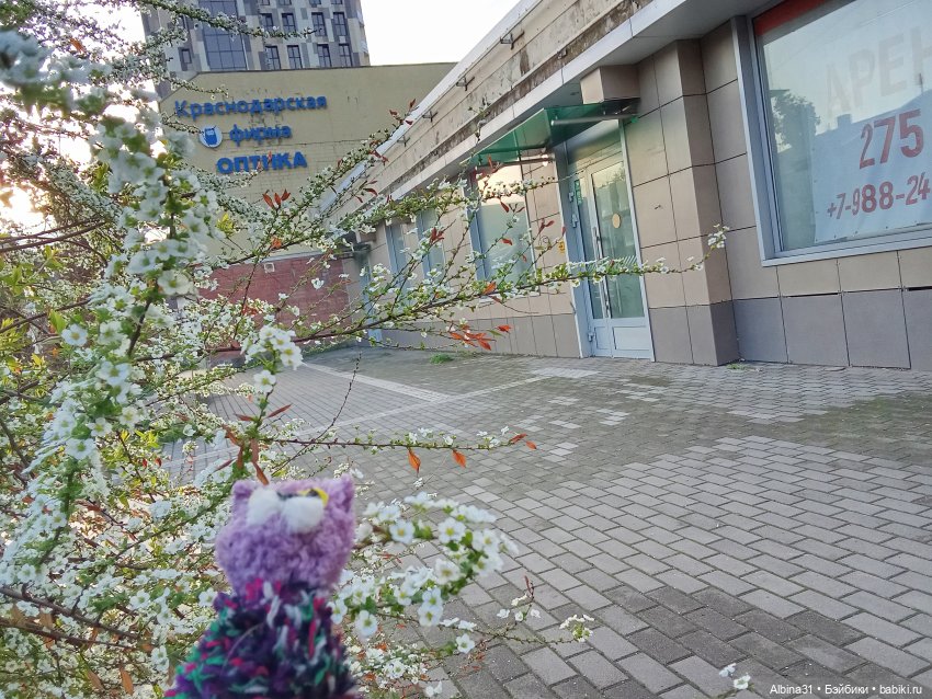 Краснодар март- апрель 2025 года