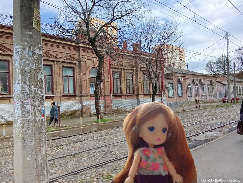 Краснодар март- апрель 2025 года