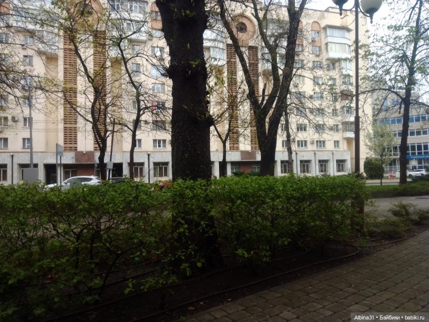 Краснодар март- апрель 2025 года