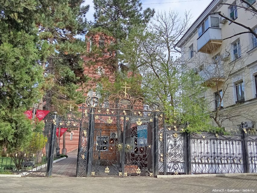 Краснодар март- апрель 2025 года