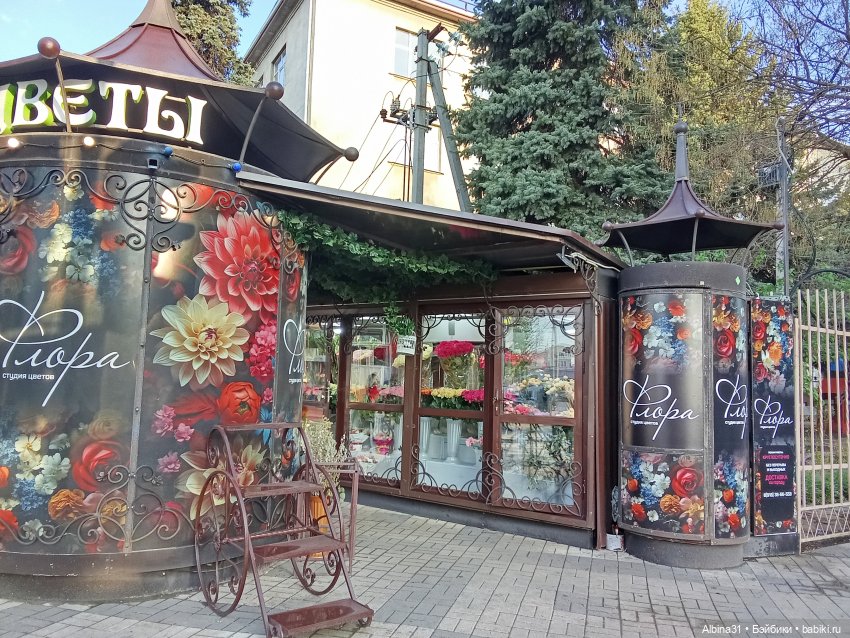 Краснодар март- апрель 2025 года