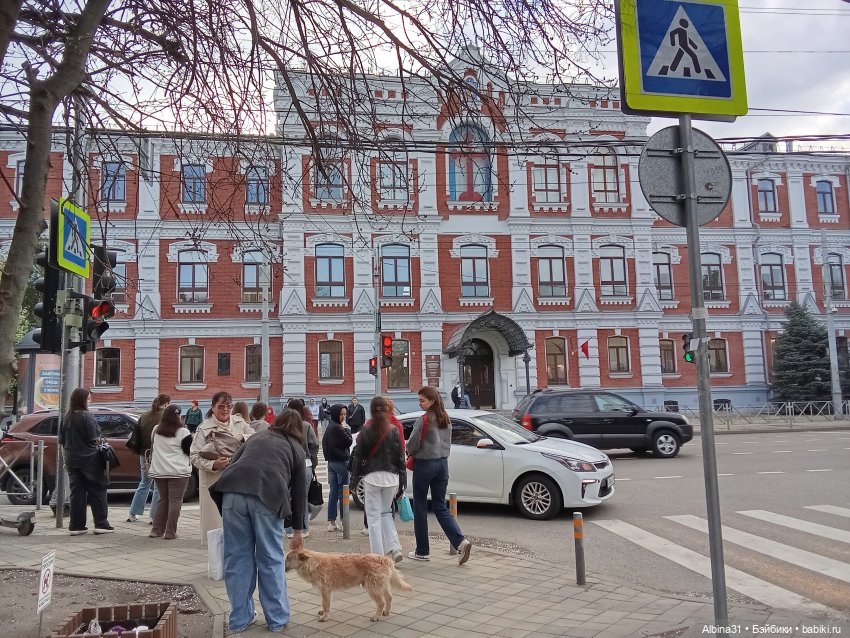 Краснодар март- апрель 2025 года