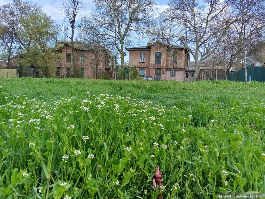 Краснодар 2025 год март-апрель