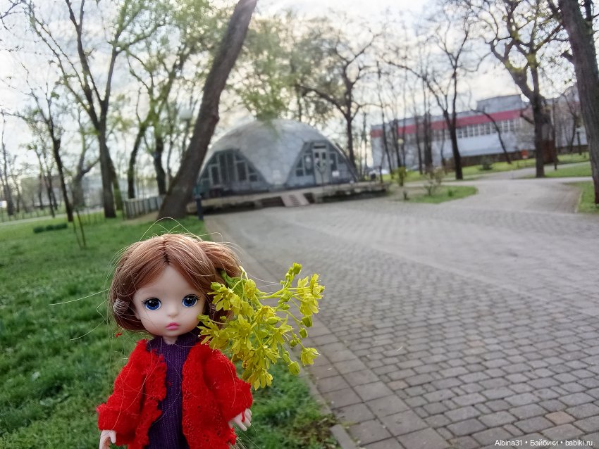 Краснодар 2025 год март-апрель (фото 3)