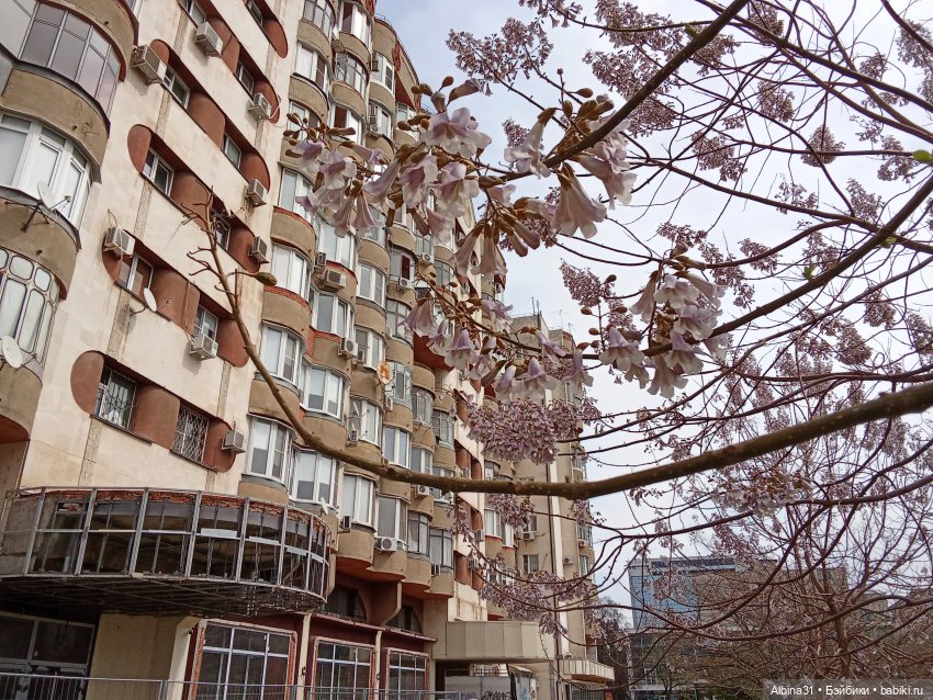 Краснодар 2025 год март-апрель