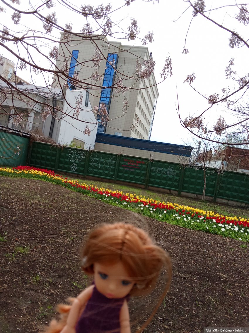 Краснодар 2025 год март-апрель