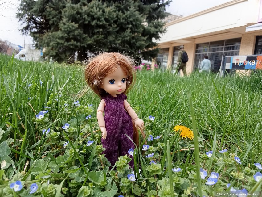 Краснодар 2025 год март-апрель