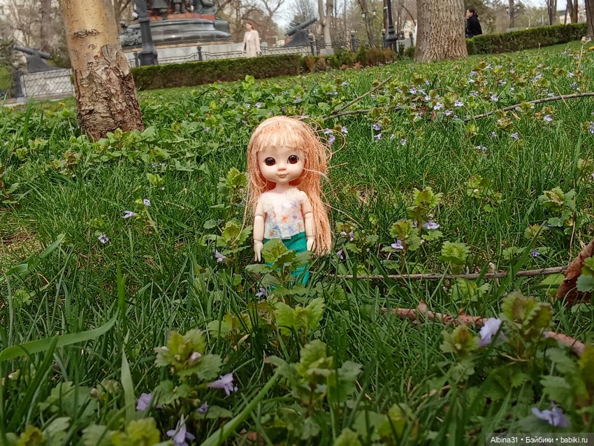 Краснодар 2025 год март-апрель