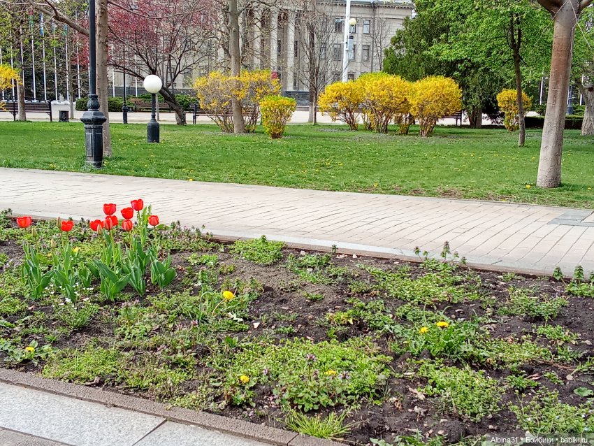 Краснодар 2025 год март-апрель