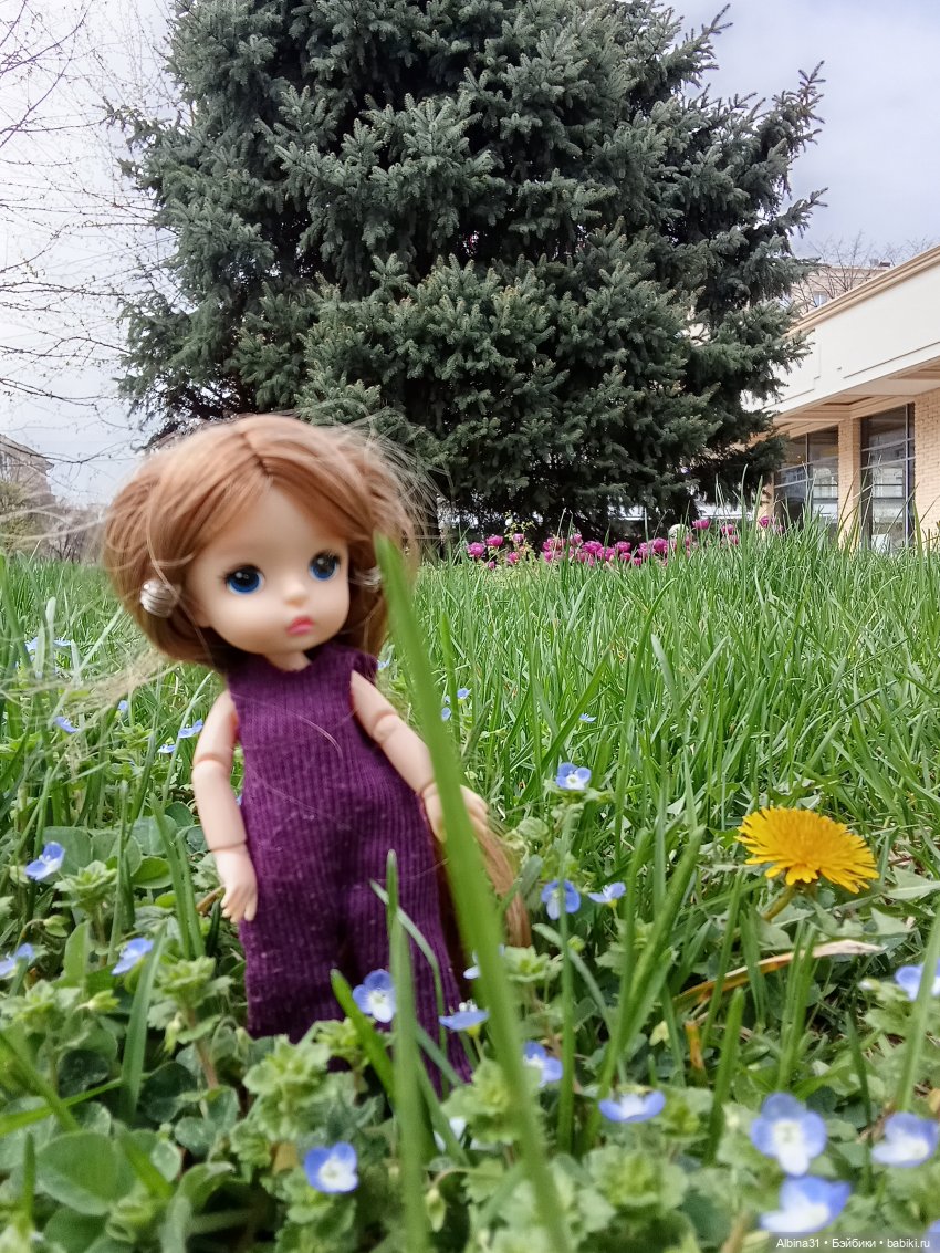 Краснодар 2025 год март-апрель