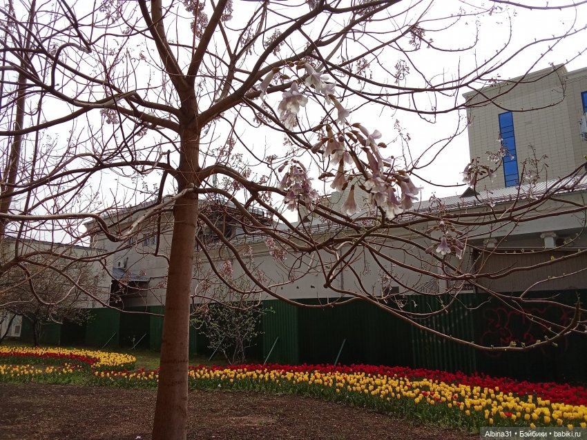 Краснодар 2025 год март-апрель