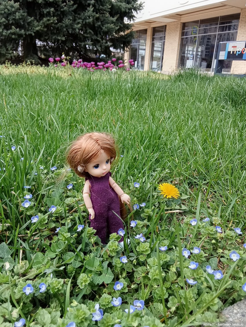 Краснодар 2025 год март-апрель