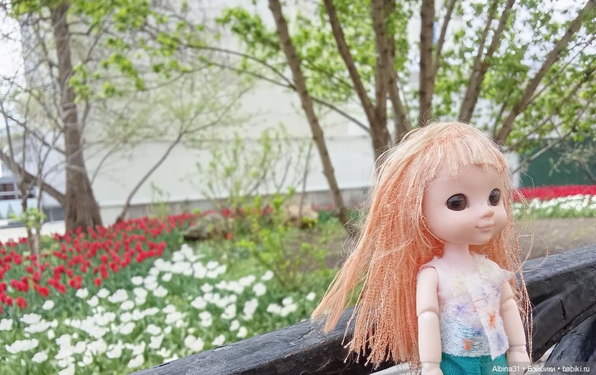 Краснодар 2025 год март-апрель