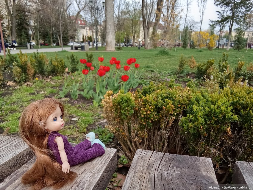 Краснодар 2025 год март-апрель