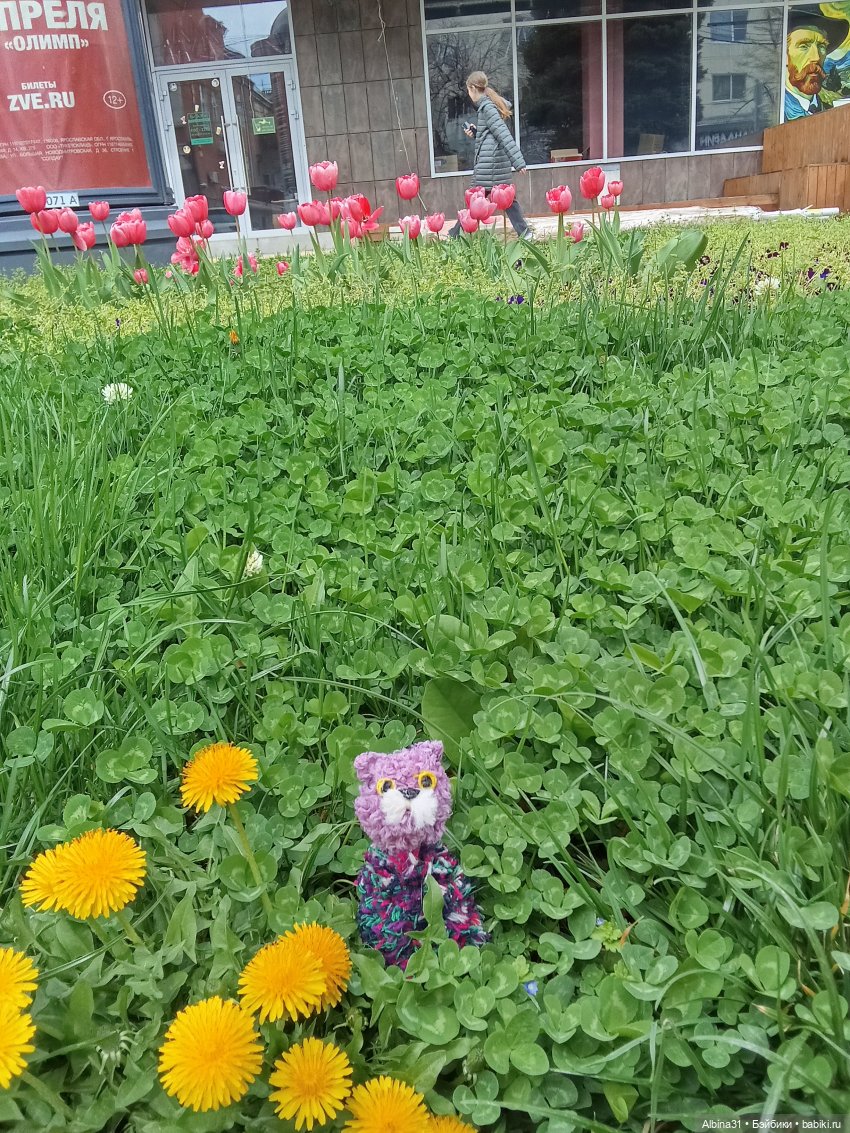 Краснодар 2025 год март-апрель