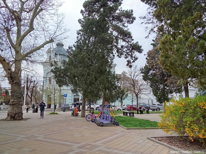 Краснодар. Март -апрель 2025