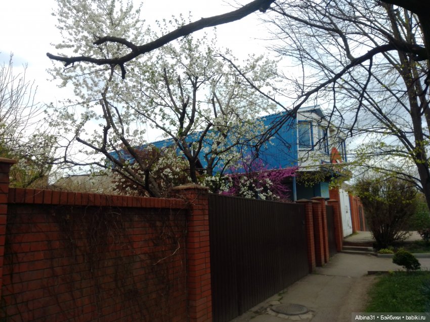 Парк Краснодар — Разные шарнирные куклы (не БЖД): редкие