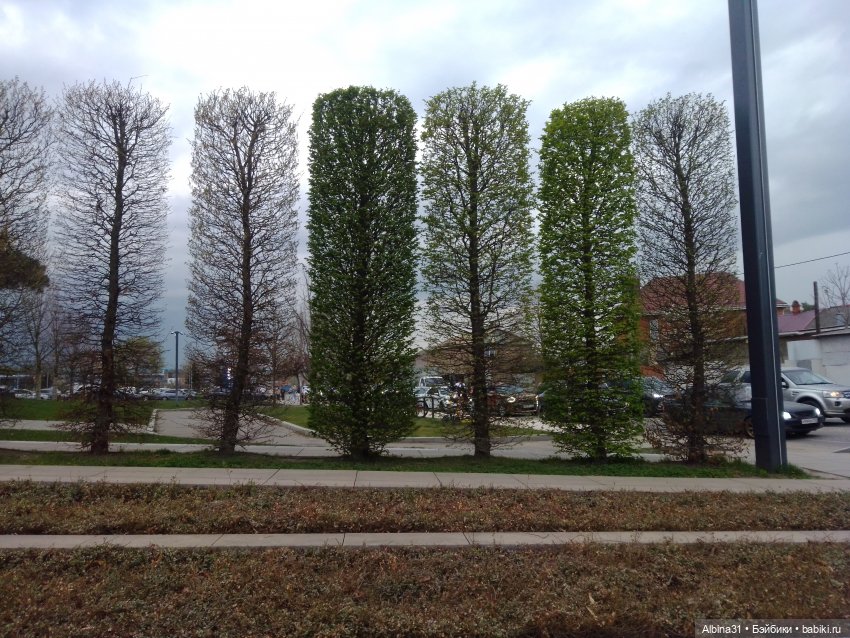 Парк Краснодар — Разные шарнирные куклы (не БЖД): редкие (фото 6)