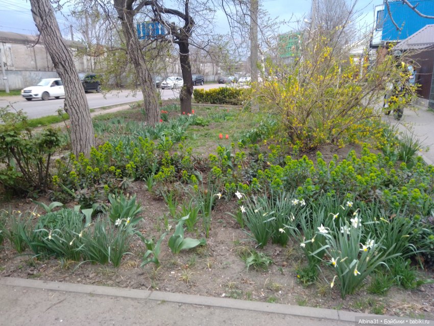 Парк Краснодар — Разные шарнирные куклы (не БЖД): редкие (фото 4)