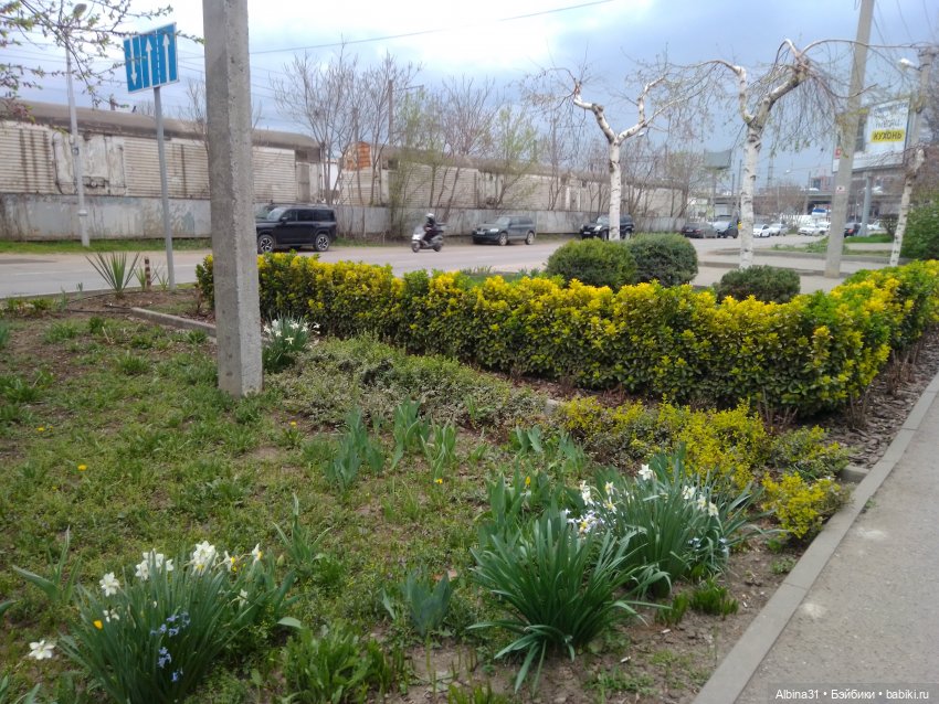 Парк Краснодар — Разные шарнирные куклы (не БЖД): редкие (фото 2)