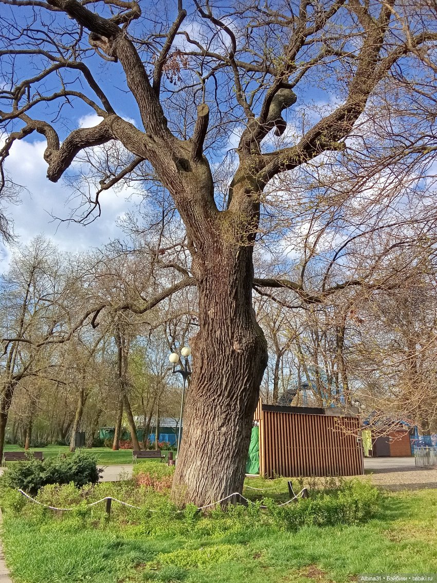 Краснодар. Парк 2025 год — Разные шарнирные куклы (не БЖД): редкие