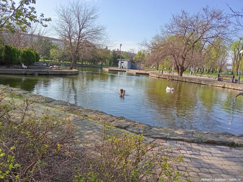 Краснодар. Парк 2025 год — Разные шарнирные куклы (не БЖД): редкие