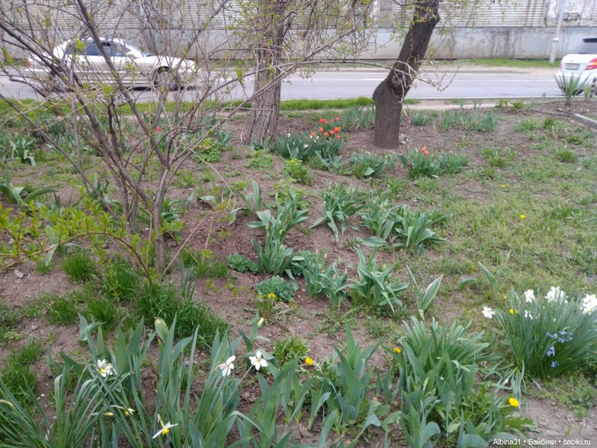 Парк Краснодар — Разные шарнирные куклы (не БЖД): редкие (фото 3)